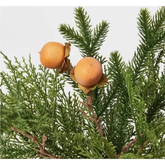 Studio McGee Mixed Greenery w persimmons in Pot Arrangement - Picture 3 of 5